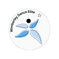 wimberleydanceelite dance edc wde wimberley dance Sticker