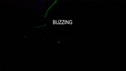 Design Video GIF by jorgemariozuleta