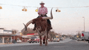 Travel Channel Ride GIF by HGTV