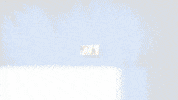GIF by The Maury Show