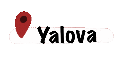 Mnks Iller 2 Sticker