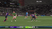Try Falcon GIF by Canberra Raiders