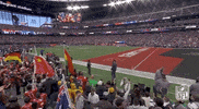 Nfl Pro Bowl Football GIF by NFL