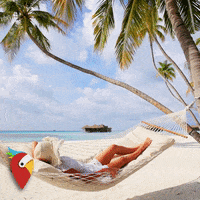 holidaypirates travel adventure beautiful cinemagraph GIF