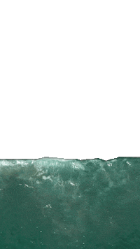 Animation Sticker Sticker