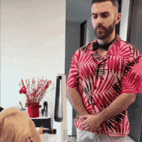 Sorry Bow Tie GIF by MAGIC JOHN