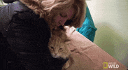 nat geo wild yukon vet GIF by Dr. Oakley, Yukon Vet