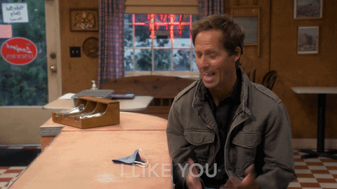 I Like You Love GIF by ABC Network