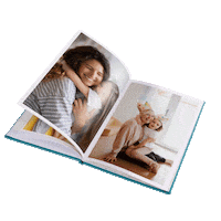 Colorland photo photobook photoalbum colorland Sticker