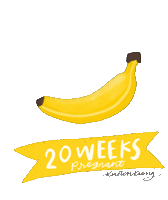 Banana Pregnancy Sticker