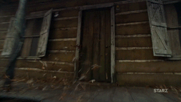 season 2 starz GIF by Ash vs Evil Dead