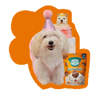 Happy Birthday Girl Sticker by Awesome Pawsome Treats