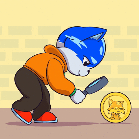 Cat Searching GIF by Toshithecat
