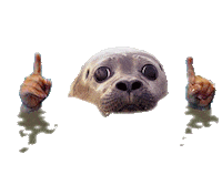 Swim Swimming Sticker