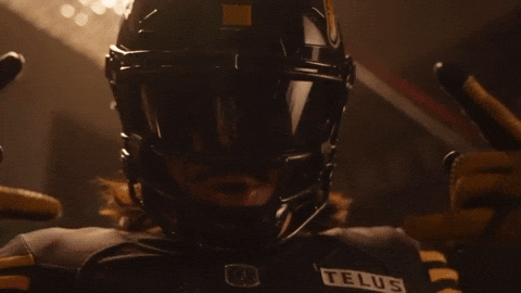 Tiger-Cats Cfl GIF by Hamilton Sports Group