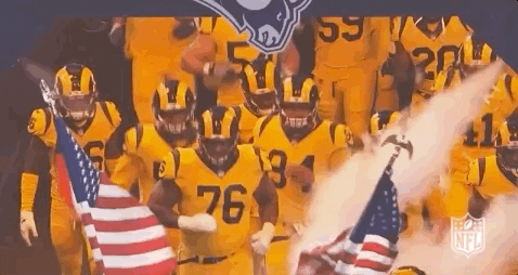 2018 Nfl Football GIF by NFL