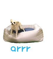 아르르 Sticker by arrr_official