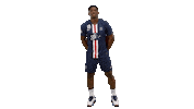 France Fun Sticker by Paris Saint-Germain Handball
