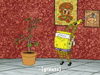 season 8 episode 3 GIF by SpongeBob SquarePants