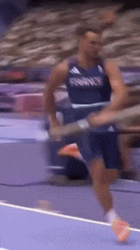Macron GIF by systaime