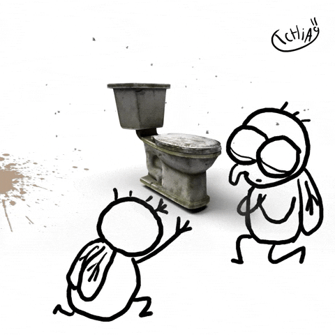 T9chia meme memes shit toilet GIF