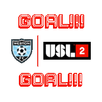 League2 Sticker by Weston FC