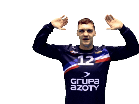 Handball Goalkeeper Sticker by KS Azoty-Puławy S.A.