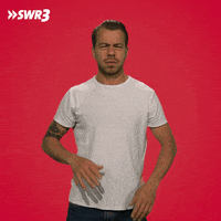 No Idea Wtf GIF by SWR3