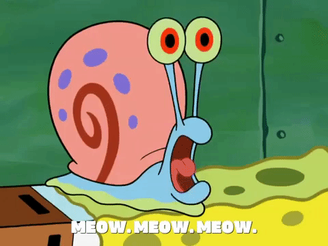 season 8 episode 22 GIF by SpongeBob SquarePants