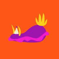 Sea Slug GIF by Katya Ross