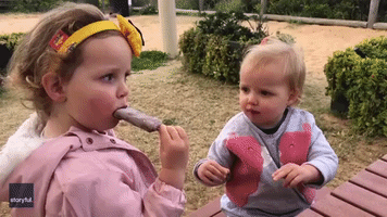 Sisterly Love Put to the Test as Adorable Toddlers Share Ice Cream at Palm Beach, Australia