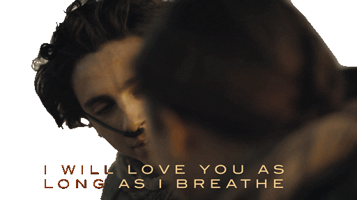 Timothee Chalamet Love Sticker by Warner Bros. Pictures