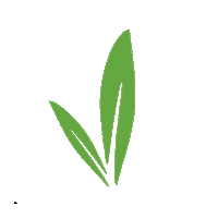seminarenatural seminare seminarenatural seminare natural seminarenaturalarg Sticker