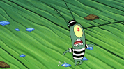 season 9 episode 6 GIF by SpongeBob SquarePants