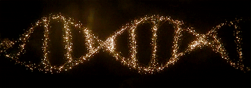 Promegagmbh giphyupload GIF