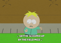 butters stotch GIF by South Park 