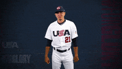 Pro GIF by USA Baseball