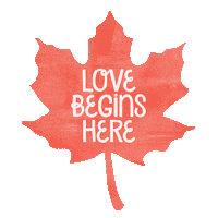 Fall Sticker by American Crafts