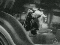 hanging black and white GIF by Okkult Motion Pictures