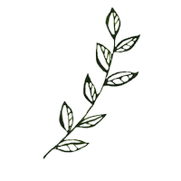 Julia_Ili green plant leaf leaves Sticker