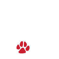 Travel Paws Sticker by Lynx Air