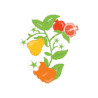 ObradorFlorida flores flor frutas granada Sticker