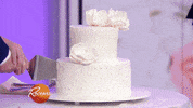 happy wedding cake GIF by Rachael Ray Show