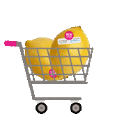 Shopping Shop Sticker by Citrus