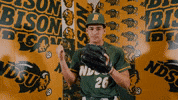 Baseball Bison GIF by NDSU Athletics