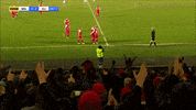 Celebrate Team Spirit GIF by Cliftonville Football Club