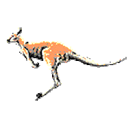 australia honeymoon STICKER