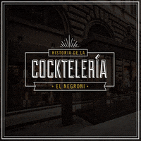NegroniBar bar argentina drinks cocktails GIF