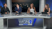 wgn-tv lauren jiggetts GIF by WGN Morning News