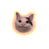 soymarpony happy cat meme fun Sticker